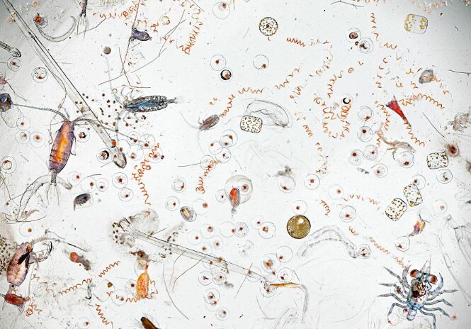 수영장이나 워터파크는 사람많아서 더러워서 안감_13.png