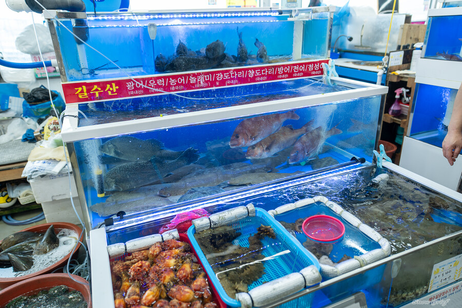 1박2일 선유도 다녀왔습니다_11.jpg