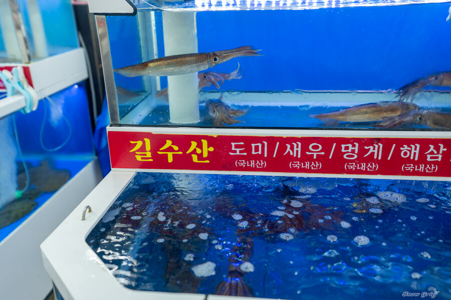 1박2일 선유도 다녀왔습니다_12.jpg