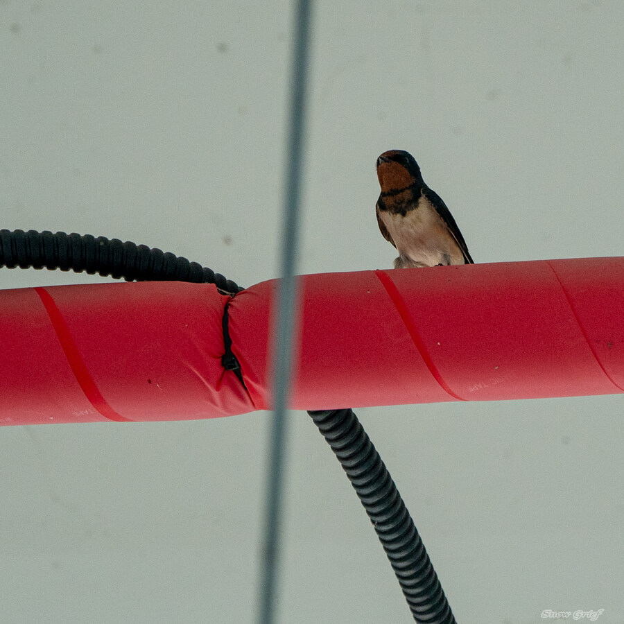 1박2일 선유도 다녀왔습니다_16.jpg