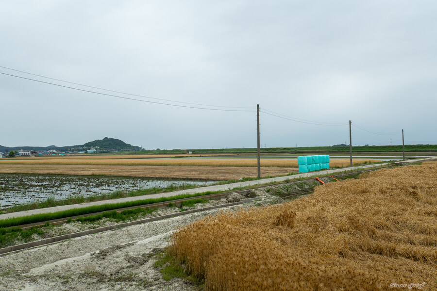 1박2일 선유도 다녀왔습니다_27.jpg