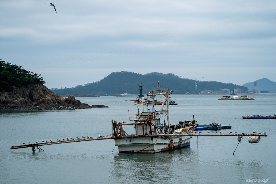 1박2일 선유도 다녀왔습니다_34.jpg