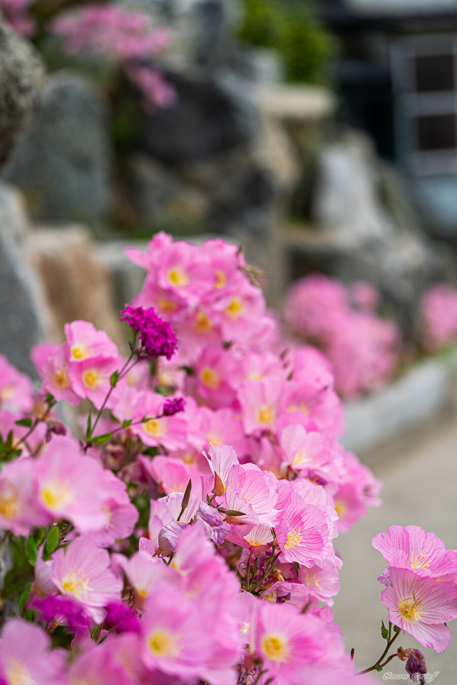 1박2일 선유도 다녀왔습니다_68.jpg