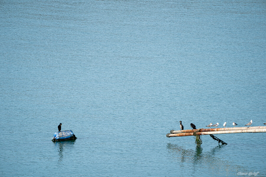 1박2일 선유도 다녀왔습니다_108.jpg