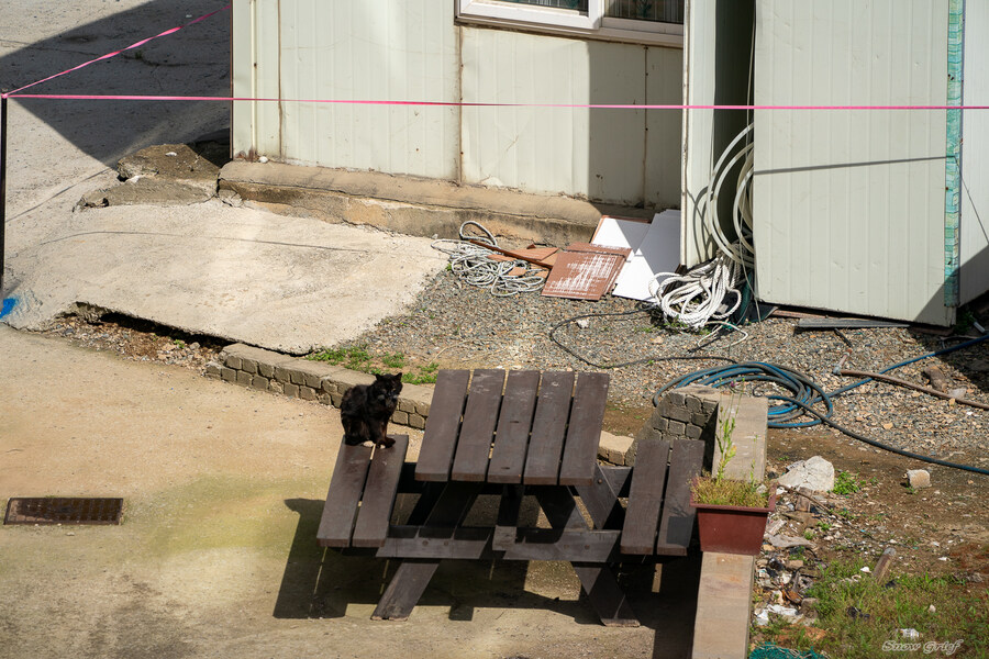 1박2일 선유도 다녀왔습니다_113.jpg