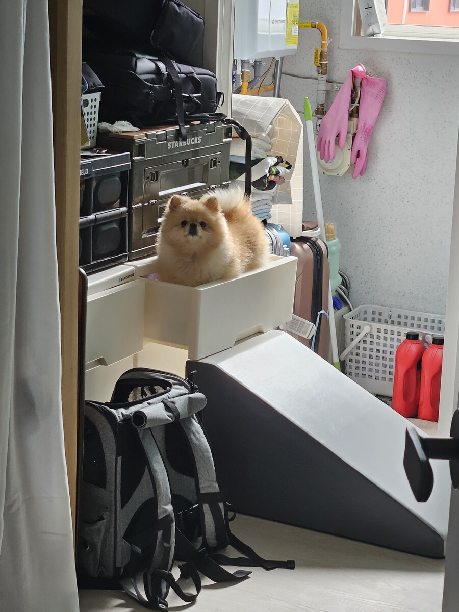 장문)지각 사유_1.jpg