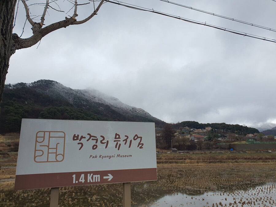 소설가 박경리 선생님 생가에서 신세를 지고 있습니다_31.jpg