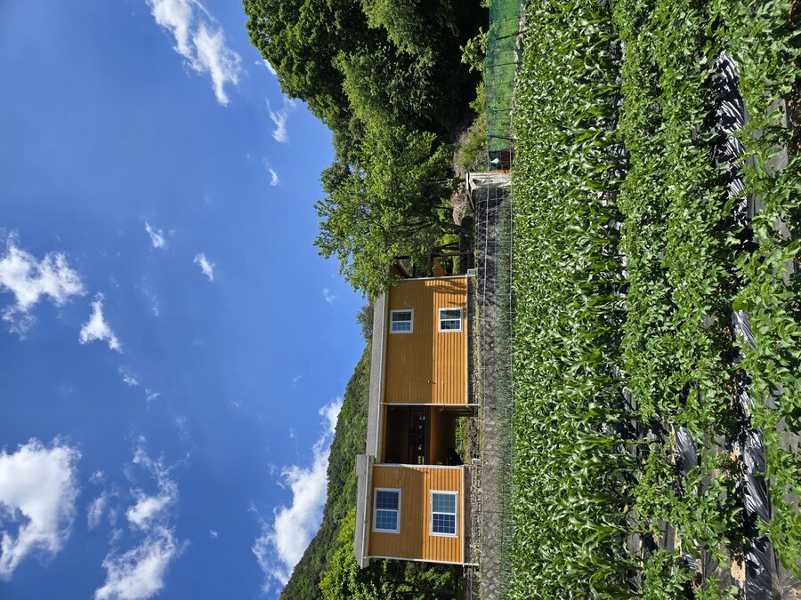 소설가 박경리 선생님 생가에서 신세를 지고 있습니다_67.jpg