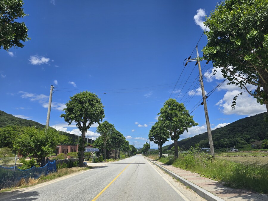 소설가 박경리 선생님 생가에서 신세를 지고 있습니다_70.jpg