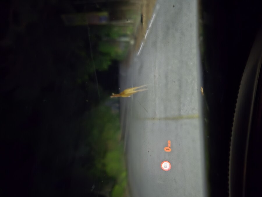 소설가 박경리 선생님 생가에서 신세를 지고 있습니다_77.jpg