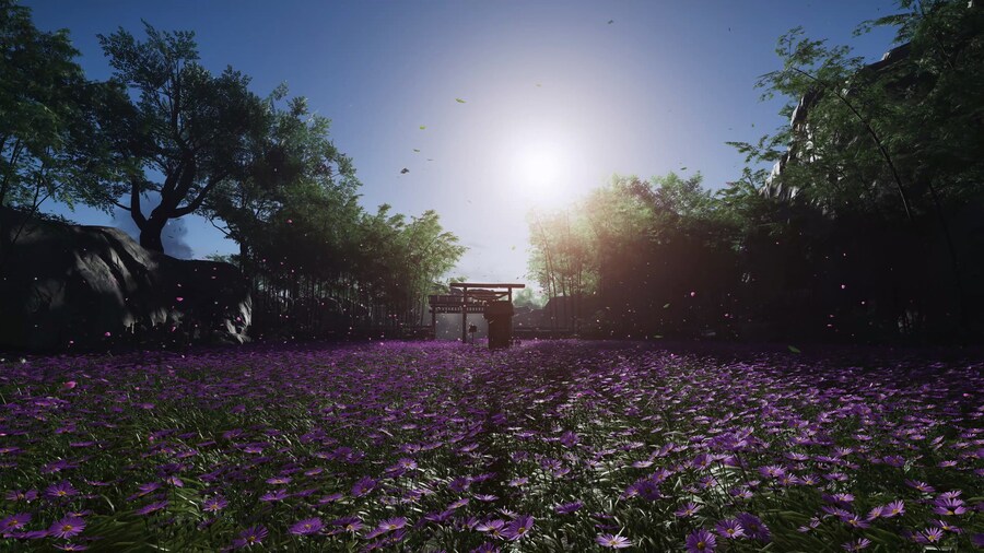 담 버파 배경은 이정도는 되어야 .._1.jpg