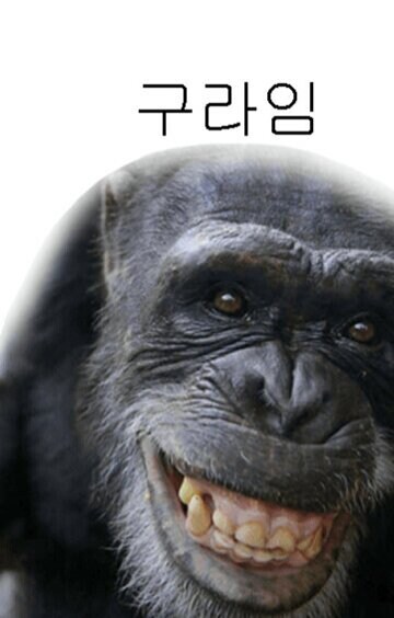 로또) 오오!!!! 나 로또 1등 5개 다 당첨됨!!!_1.jpg