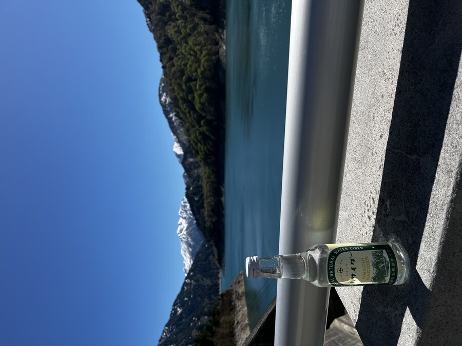 30대 아들 둘이 부모님 모시고 알펜루트 탐험기(약간 스압)_23.jpg