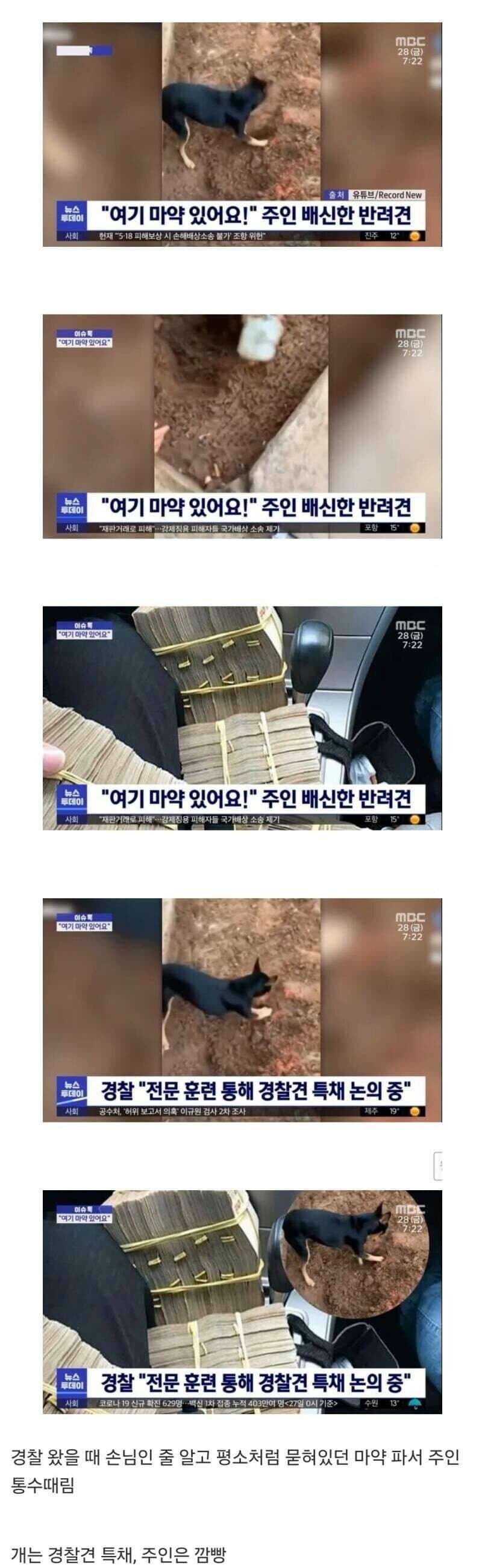 대박 터져서 승진한 애완견.jpg_1.jpg
