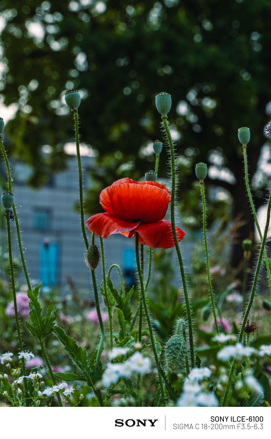 사진)현충일 열린송현 녹지광장_4.webp