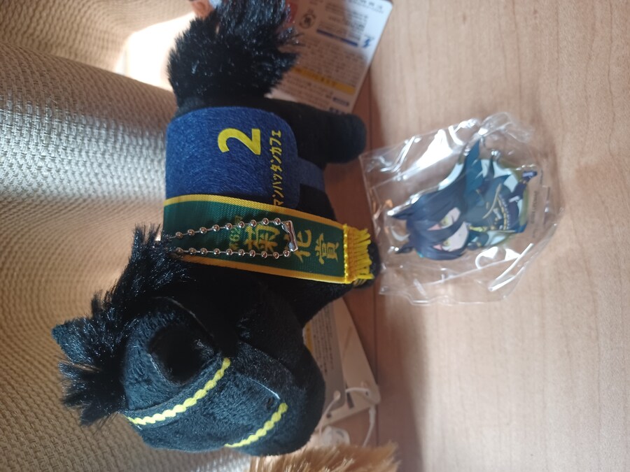 말딸) 인형뽑기 전부 성공했따_4.jpg