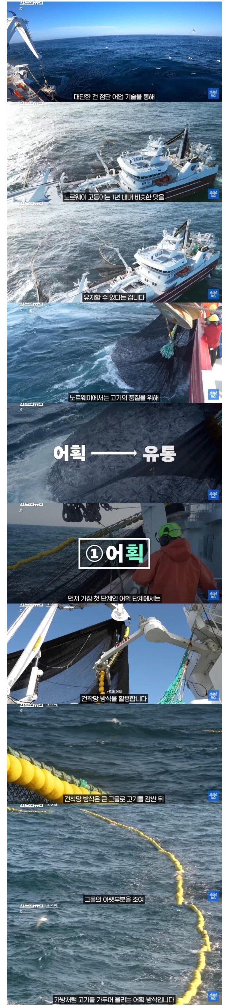 고등어)노르웨이가 고등어 수출 강국이 된 이유.jpg_2.png