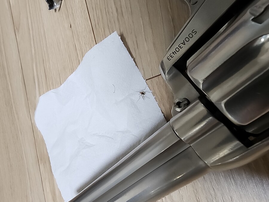 모기) 가스건으로 모기잡는법_1.jpg