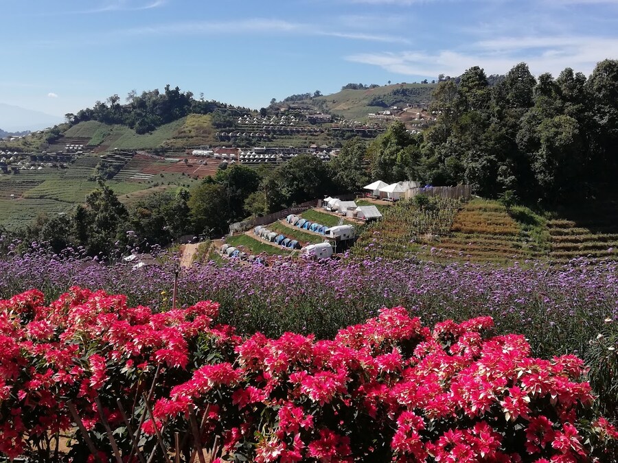 [요모] 태국 치앙마이 프라이빗 투어! 56만원~_3.jpg