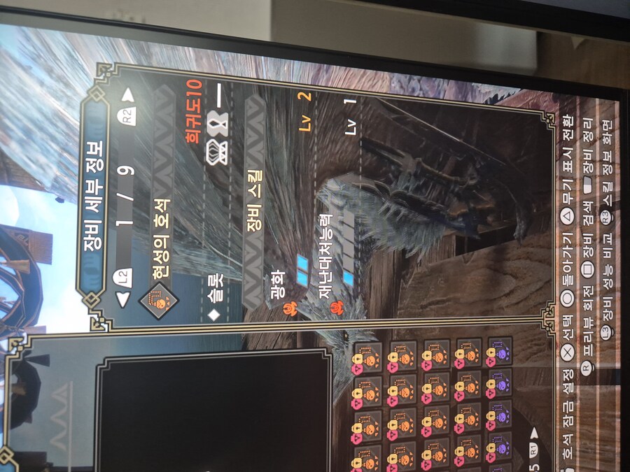 광화호석 선택_2.jpg