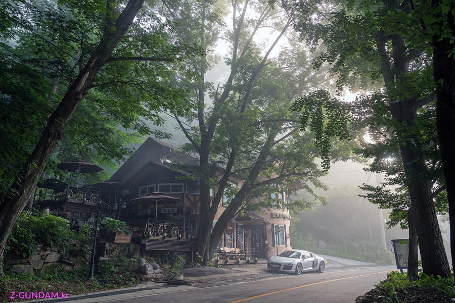 주말 새벽 로코갤러리 (사진 많음)_1.jpg