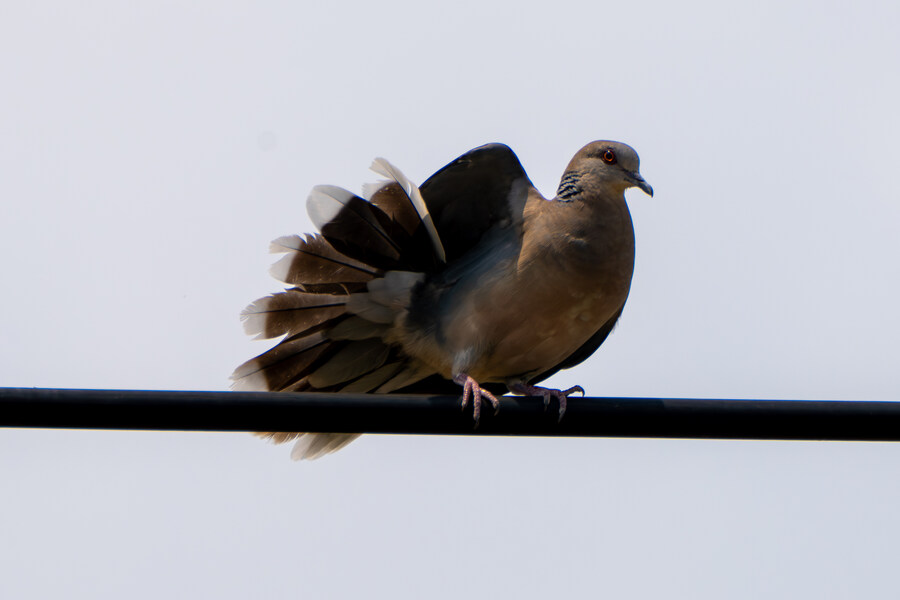 현충일, 창릉천과 공릉천 상류로 가봤다._14.jpg