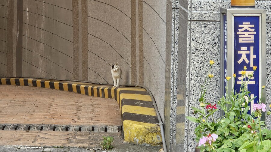 강남구 가볍게 산책 (40Km)_5.jpg