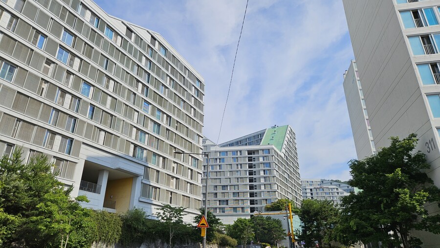 강남구 가볍게 산책 (40Km)_6.jpg