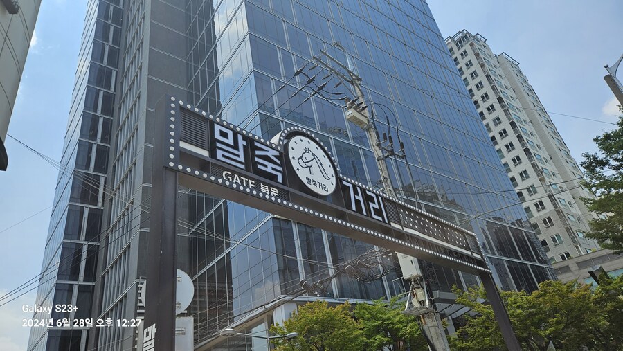 강남구 가볍게 산책 (40Km)_27.jpg