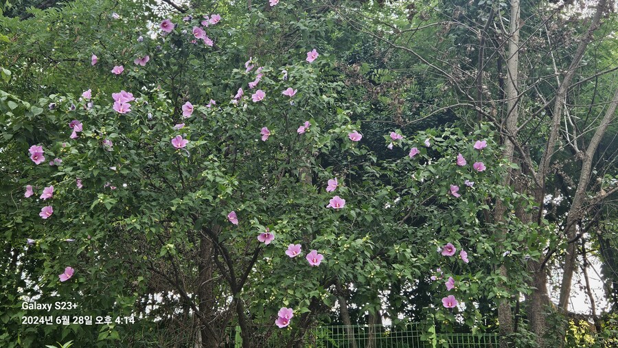 강남구 가볍게 산책 (40Km)_37.jpg