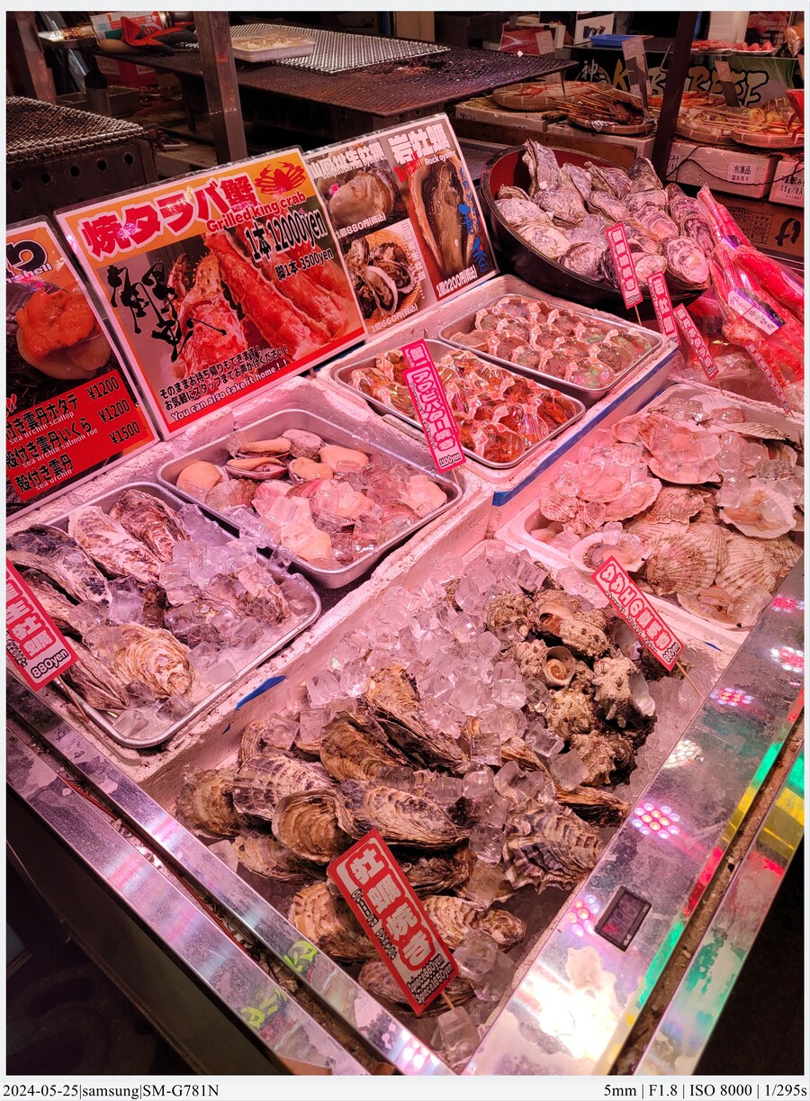 교토 여행기[24.05.24~27] - 2일차(上),후시미이나리,청수사,은각사_83.jpg