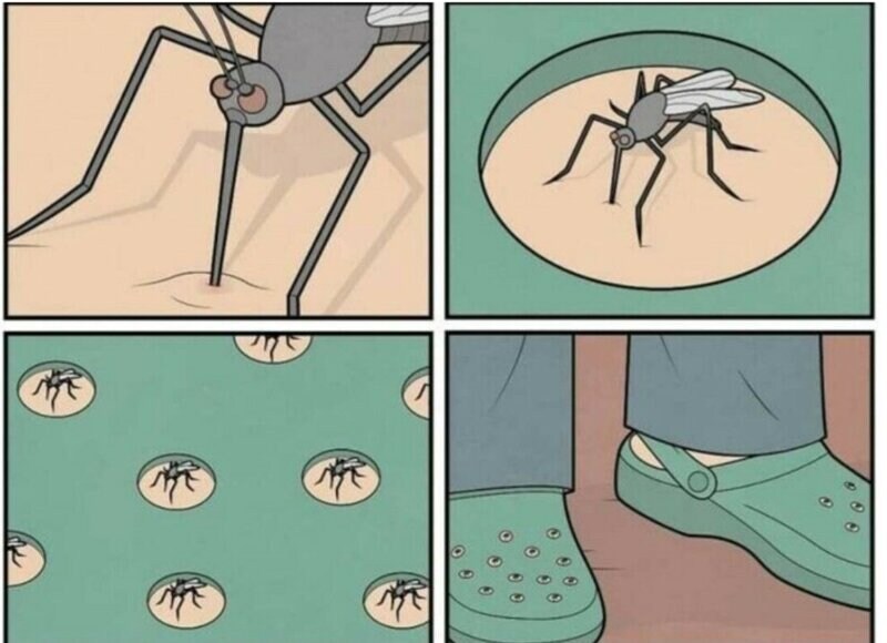 크록스 모기 짤 이거 진짜였네_1.jpg
