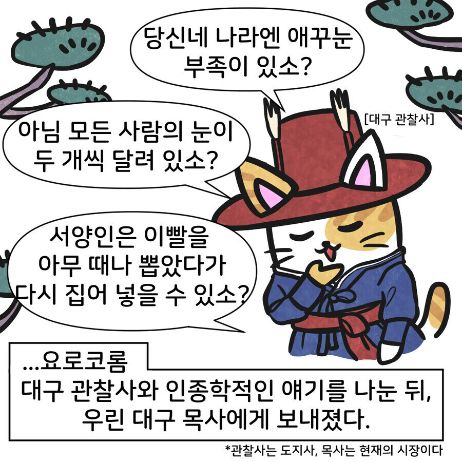 조선시대 대구에 온 외국인 만화_9.jpg
