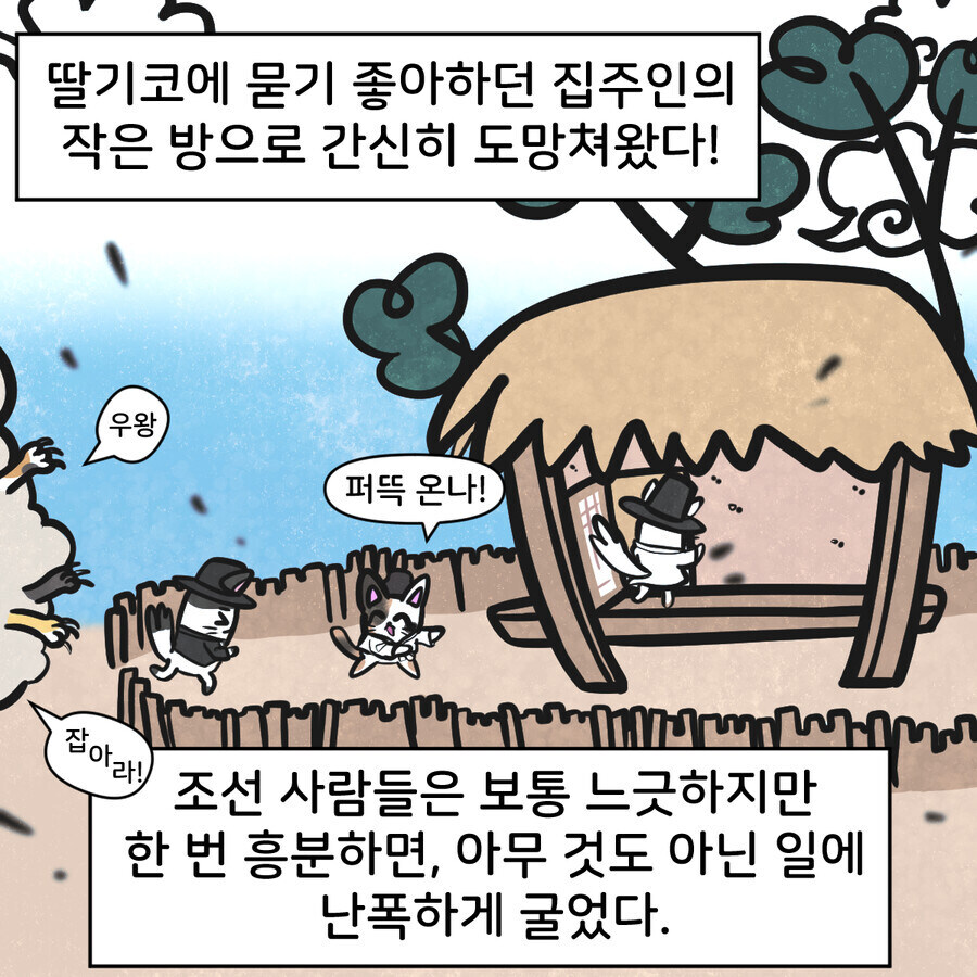 조선시대 대구에 온 외국인 만화_14.jpg
