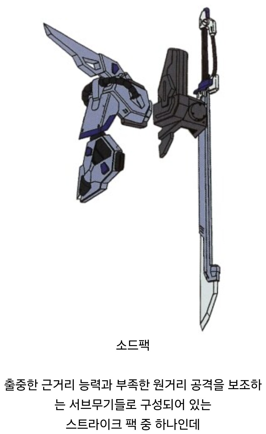 시드] 소수의 엘리트 지구군 파일럿만 지급 받았다는 장비_2.jpg