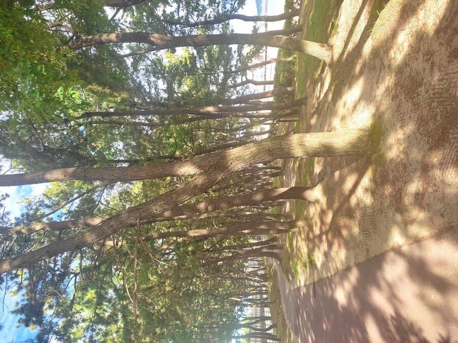 사세보 나가사키 여행 1_67.jpg