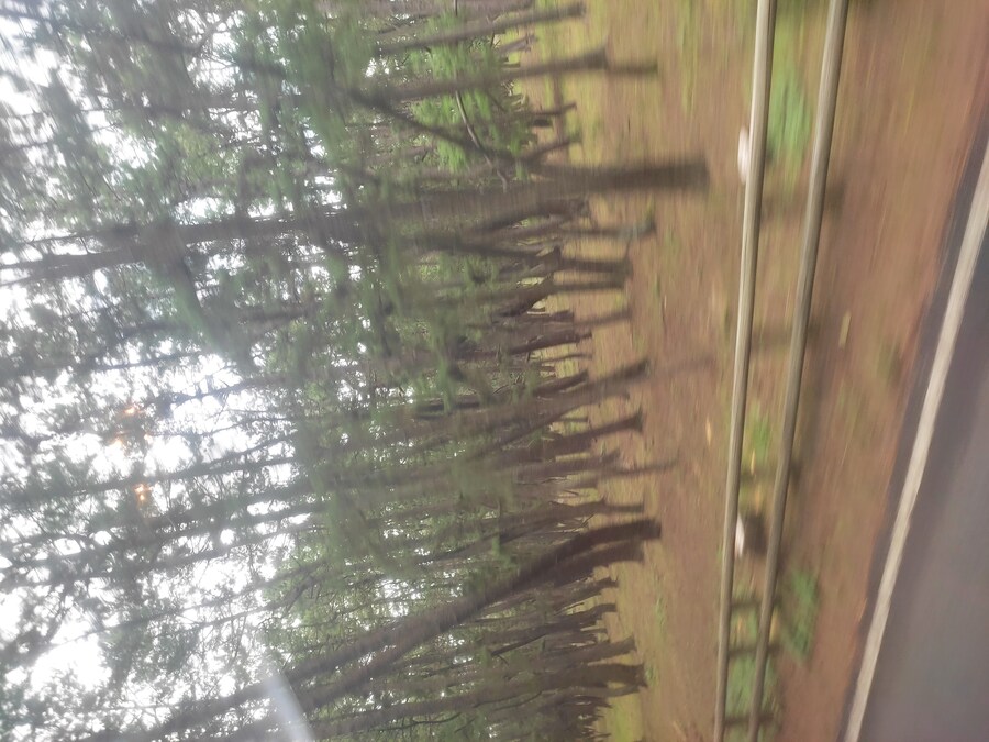 사세보 나가사키 여행 1_81.jpg