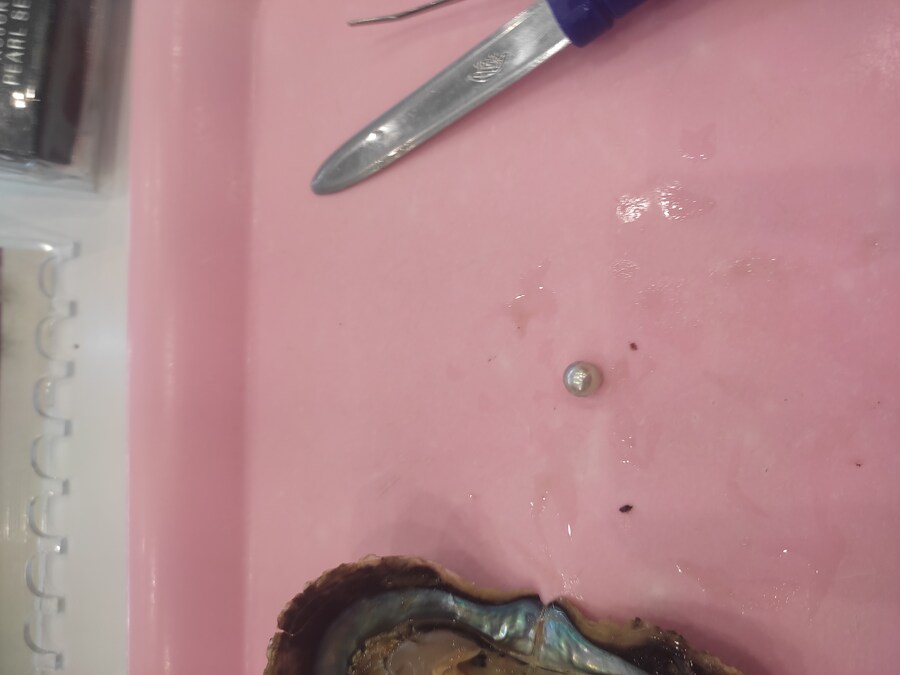 사세보 나가사키 여행 4_31.jpg