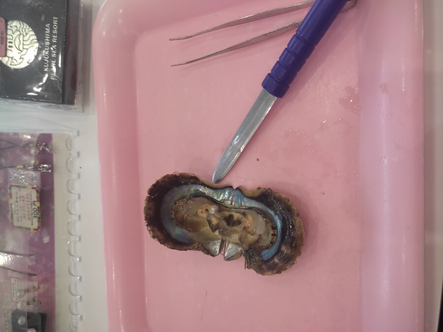 사세보 나가사키 여행 4_30.jpg