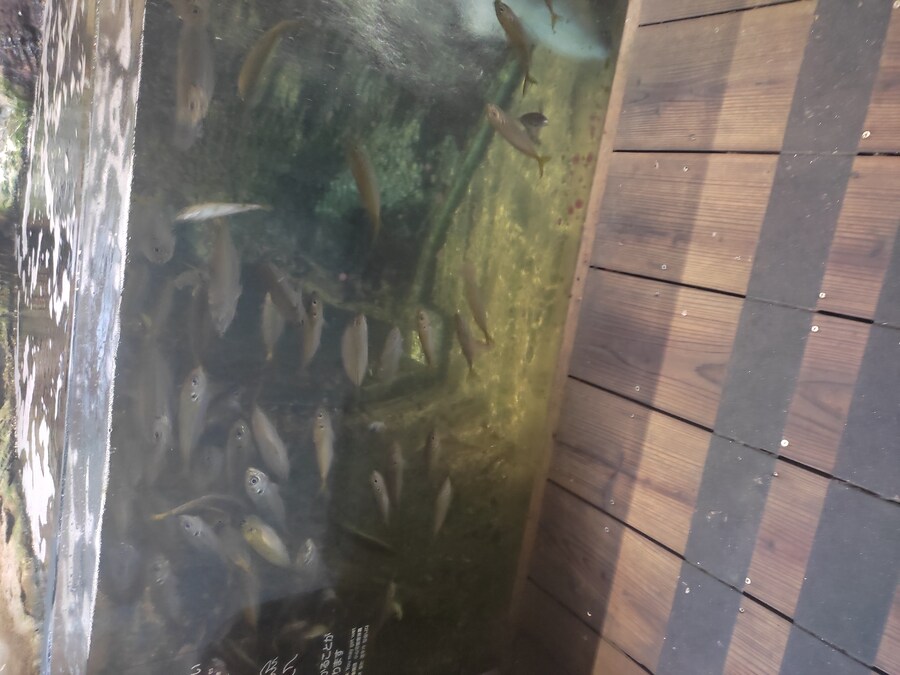 사세보 나가사키 여행 4_40.jpg