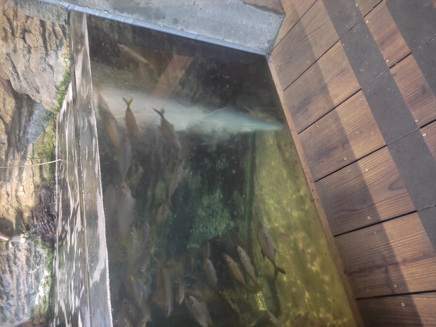 사세보 나가사키 여행 4_41.jpg