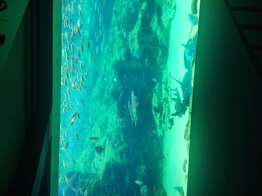 사세보 나가사키 여행 4_47.jpg