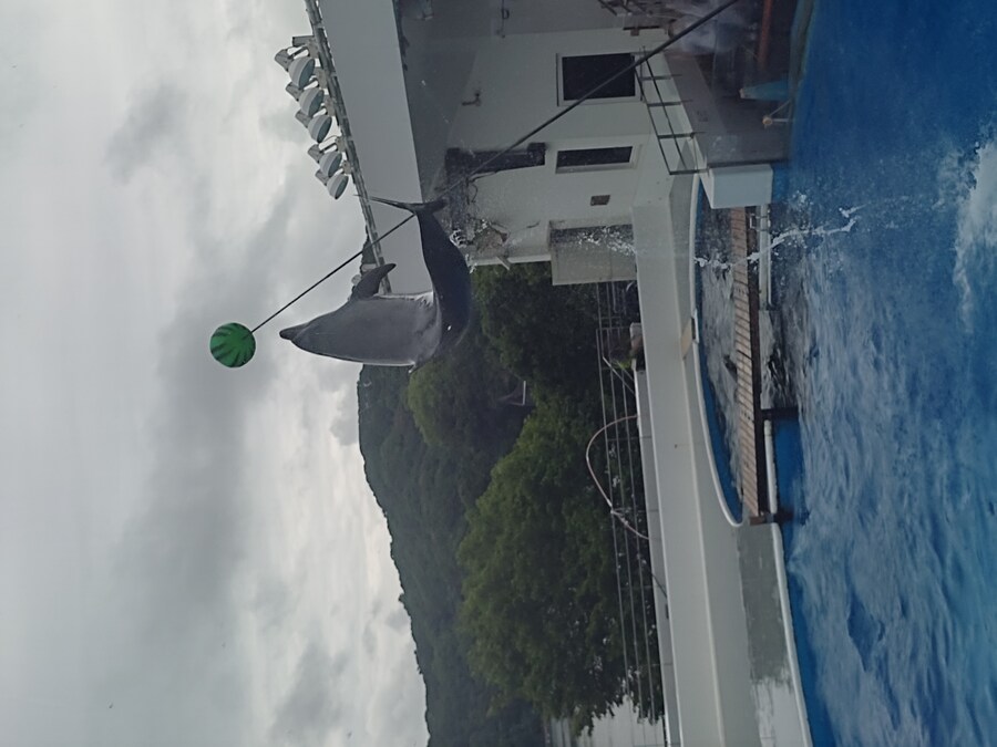 사세보 나가사키 여행 4_72.jpg