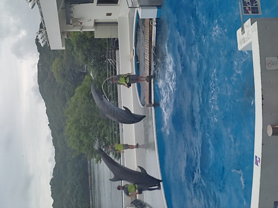 사세보 나가사키 여행 4_60.jpg