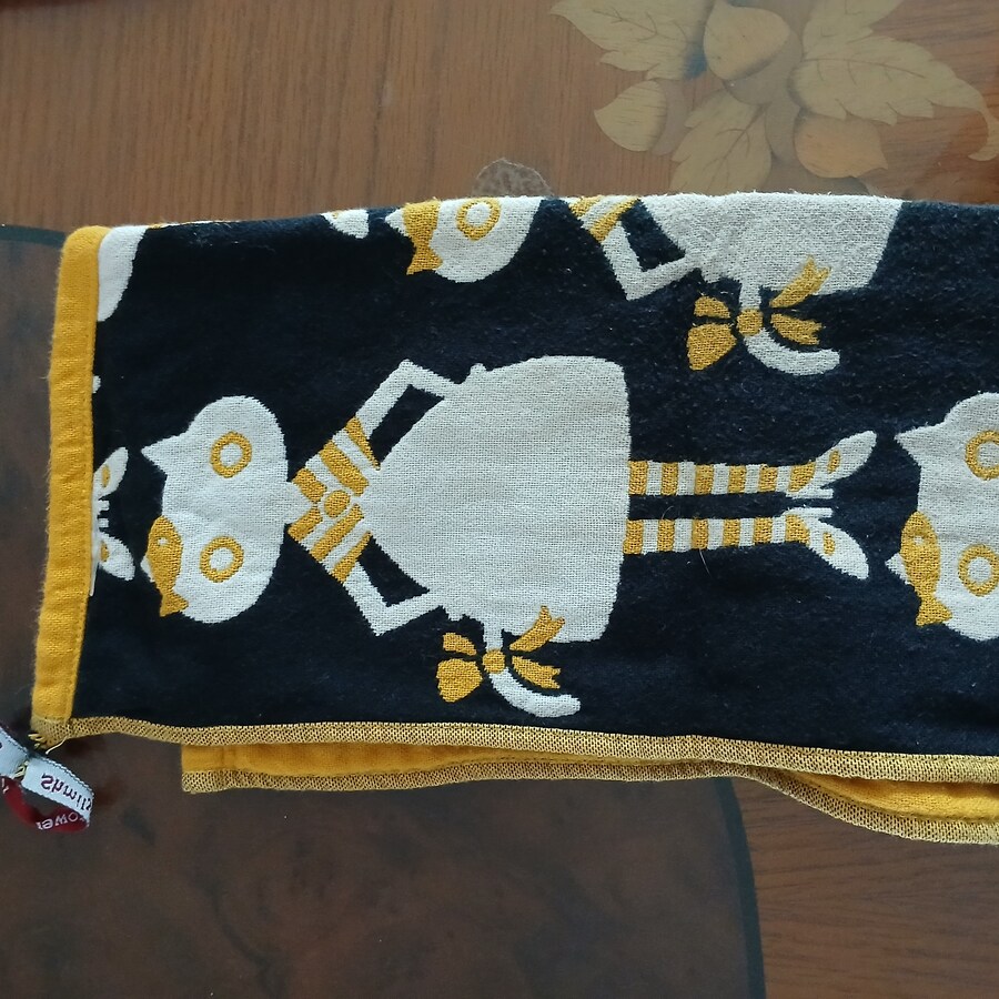 사진)해골용 또는 고양이_2.jpg