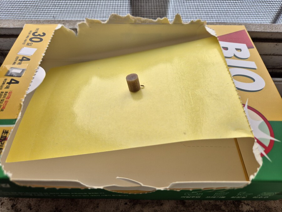 다이소) 2천원짜리 초파리 트랩 후기_1.jpg