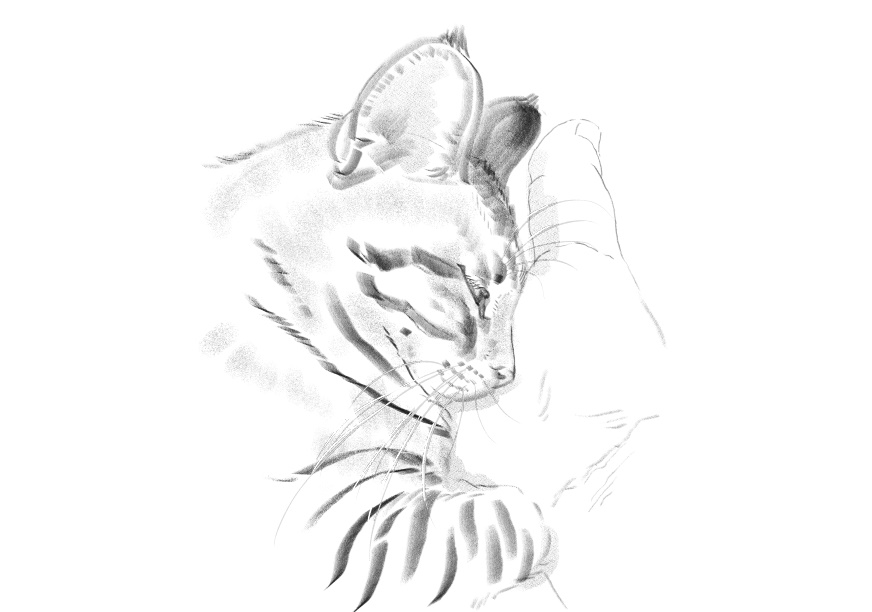 고양이)고양이 이름지을때_1.jpg