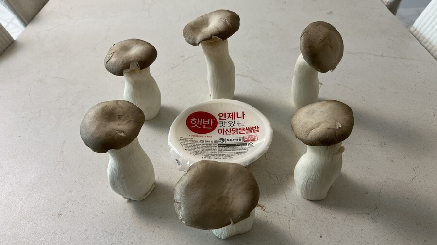 던전밥의 참수 (미궁) 토끼 카레라이스 따라만들기._36.jpg