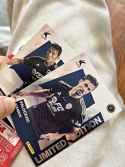 파니니 팔로세비치 나왔네요_1.jpg