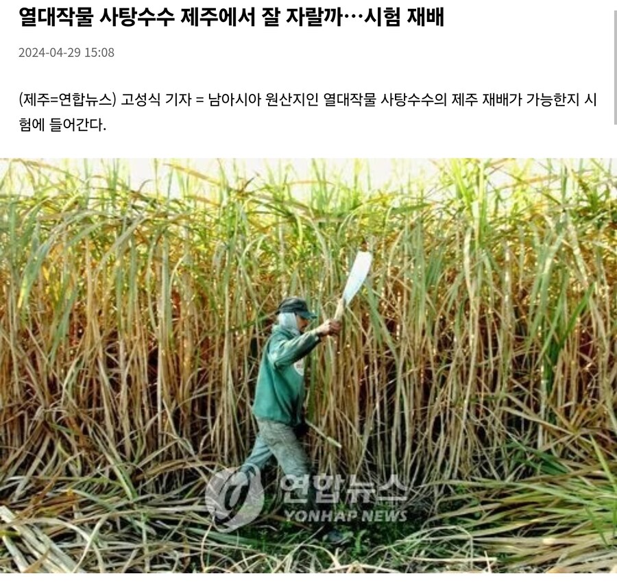 대한민국 농업계가 지구온난화에 대처하는 자세_3.jpg